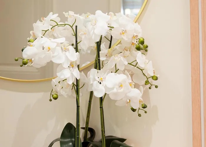 Ecrin De Charme A 2 Pas De La Croisette & Palais Κάννες