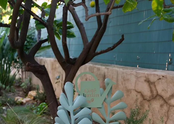 Ecrin De Charme A 2 Pas De La Croisette & Palais Κάννες