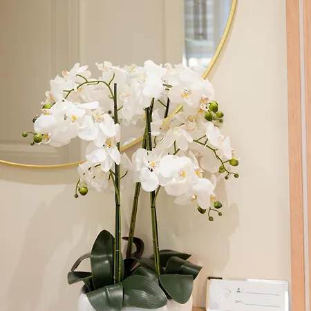 écrin De Charme à 2 Pas De La Croisette&palais Cannes